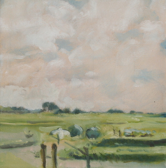 Texels landschap (1)