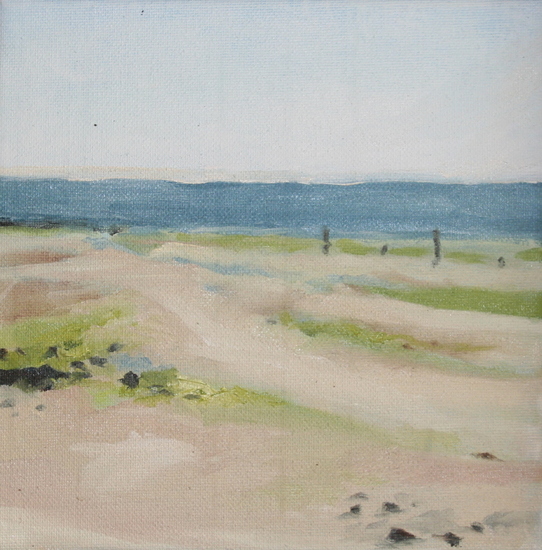 Texels landschap (2)