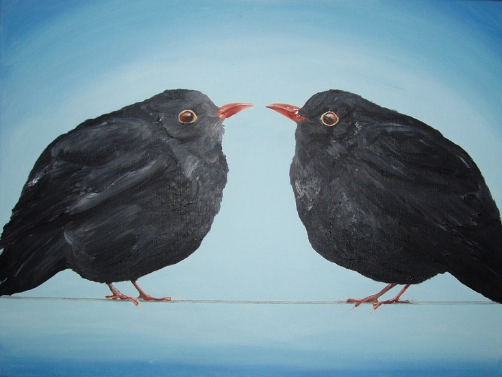 Merels, kijken elkaar aan