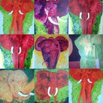 Ik ben op de een of andere manier gefascineerd door olifanten,ze zijn groot,maar stralen ook zo veel liefs uit,die zachte blik vertedert me. Helaas ben ik niet in de gelegenheid om ze op te zoeken en moet ik het doen met films en foto's van anderen die er wel zijn geweest: dank voor het gebruik van deze foto's!