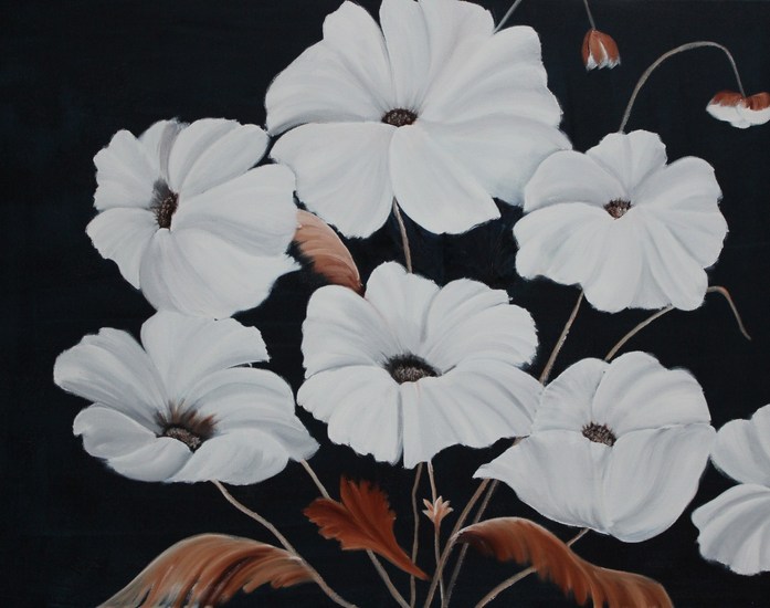 witte papavers
