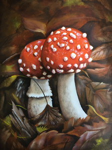 De natuur is zo wonderlijk mooi!