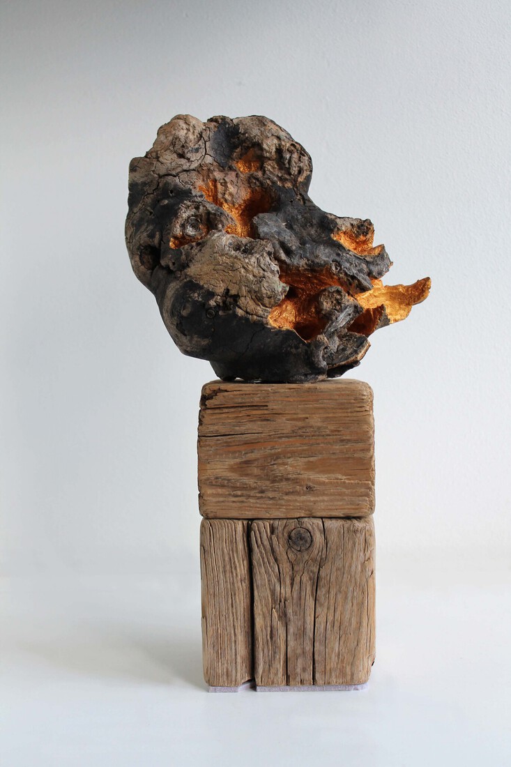 Hout en goud