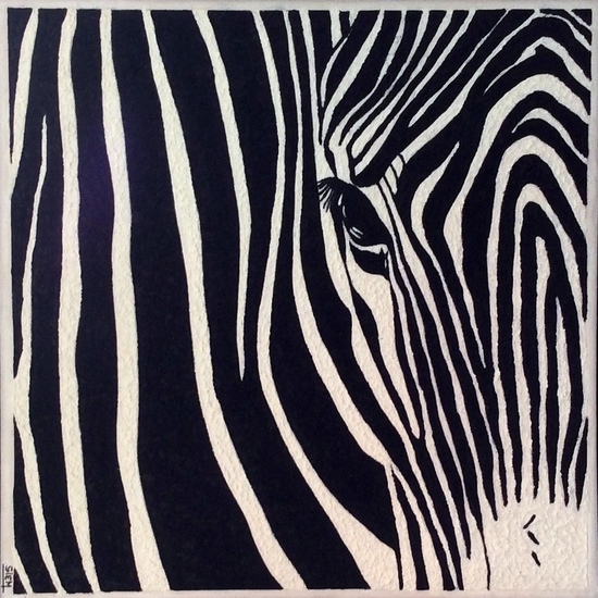 Zebra