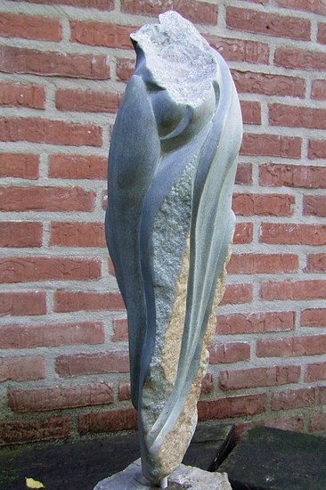 De tulp