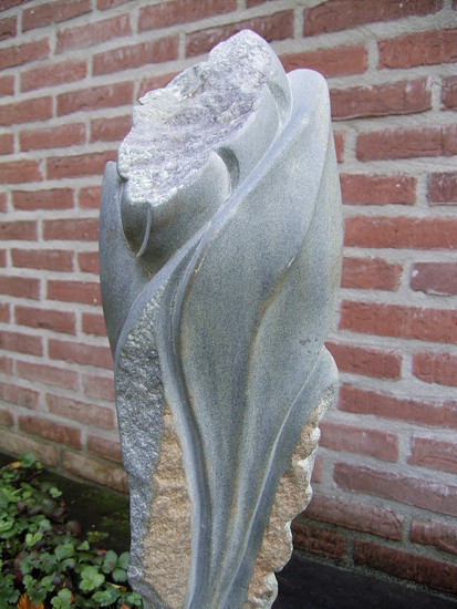 De tulp