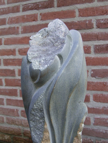De tulp