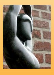 De vrouw