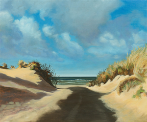 Landschappen van zee, strand en duinen