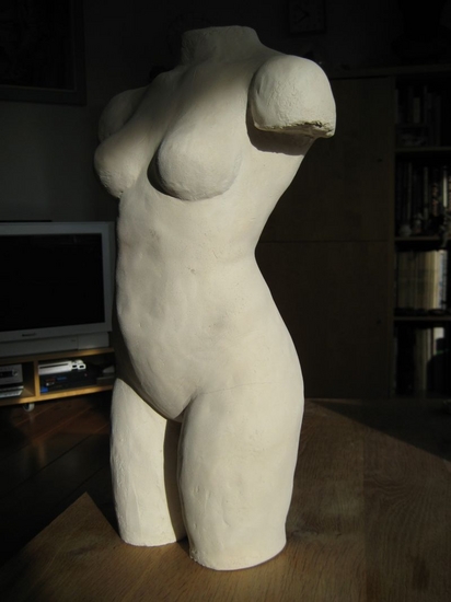 torso