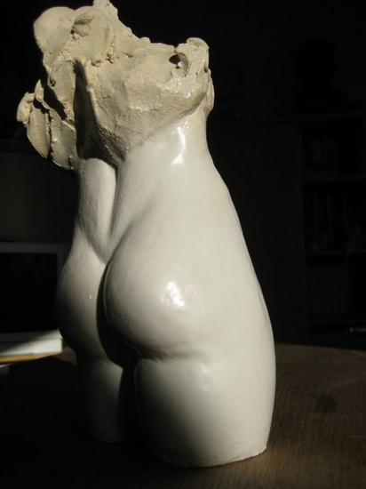 torso