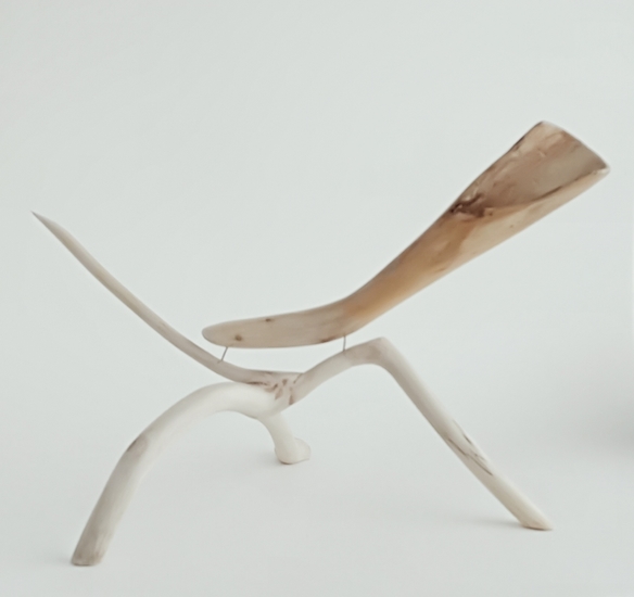 hoorn des overvloeds