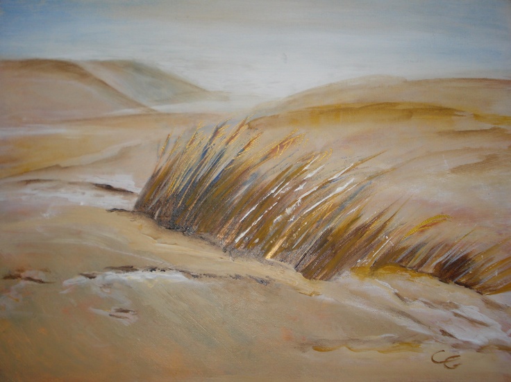 Verlaten duinen