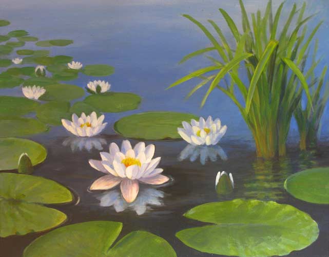 Waterlelies 7