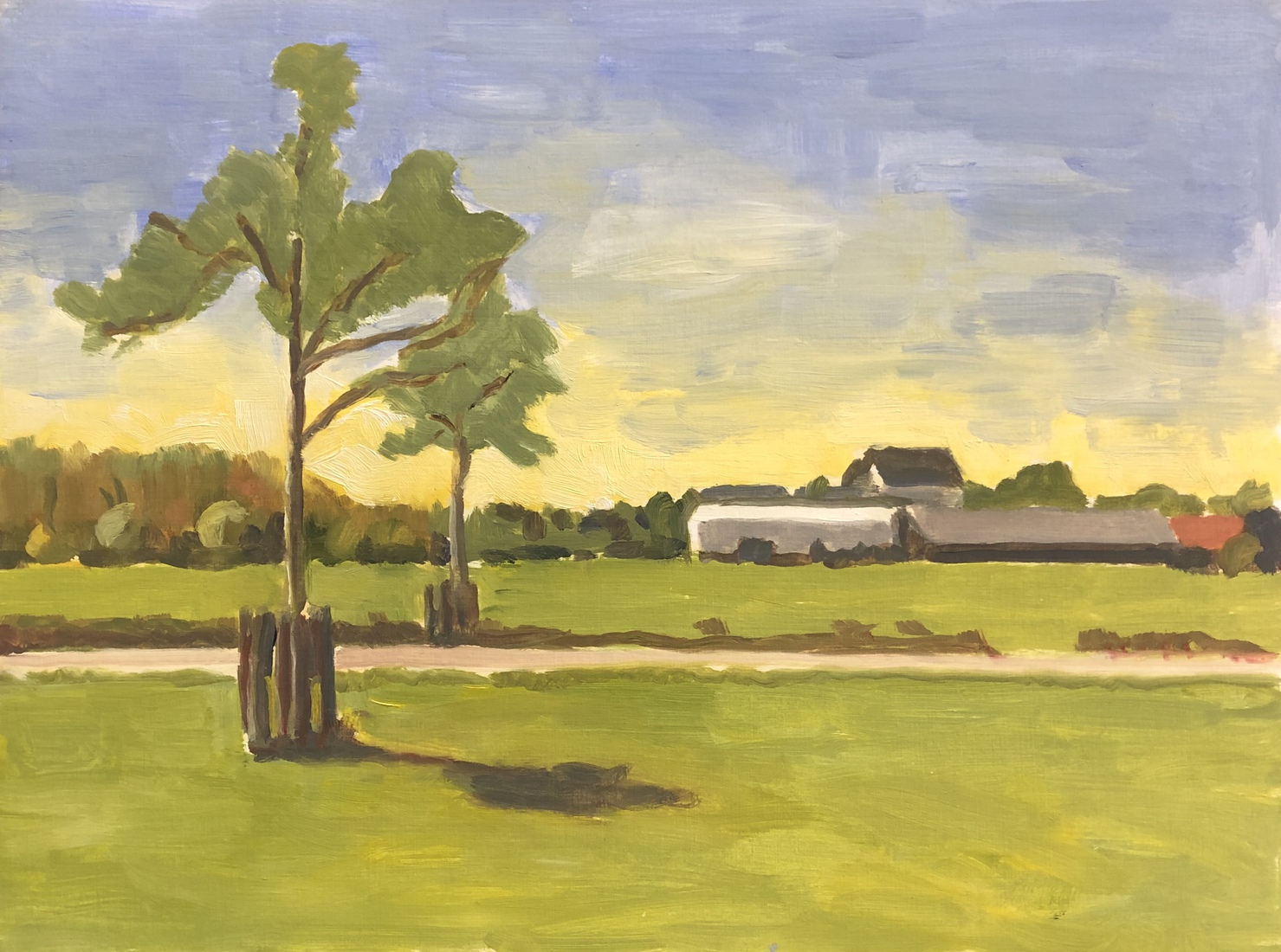 view from garden house in Leiden