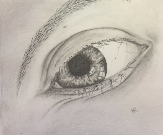 Mijn eigen oog nagetekend. Grafiet tekening
