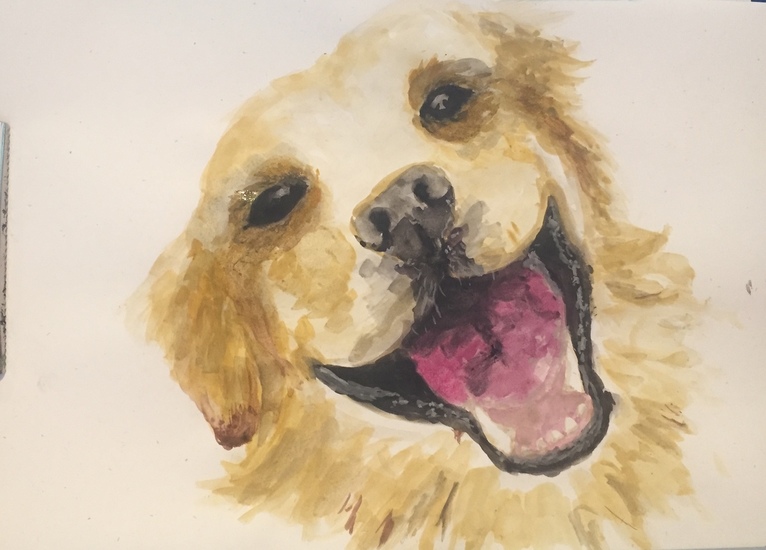 Het vrolijke hondje. Techniek: Waterverf. Afmeting A4.