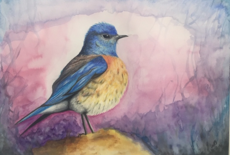 Het blauwstaart vogeltje is erg kritisch vandaag. Techniek: Aquarelpotloden en verf. Afmeting: A4