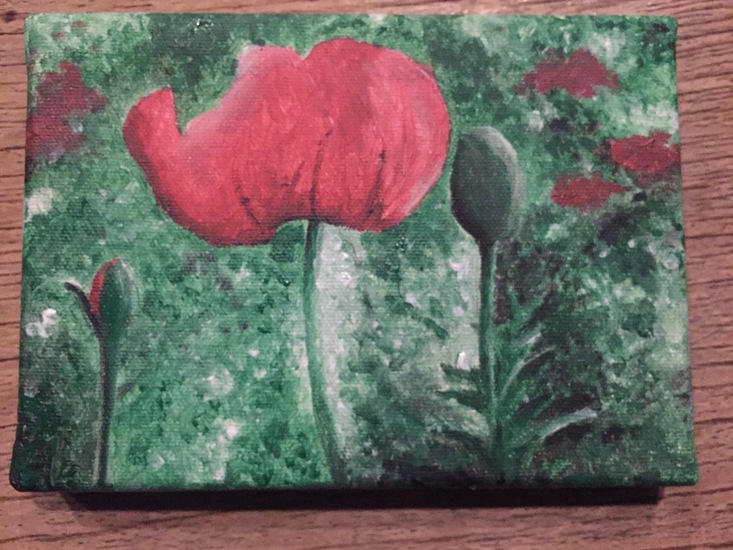 De trots klaproos. Techniek: Acryl