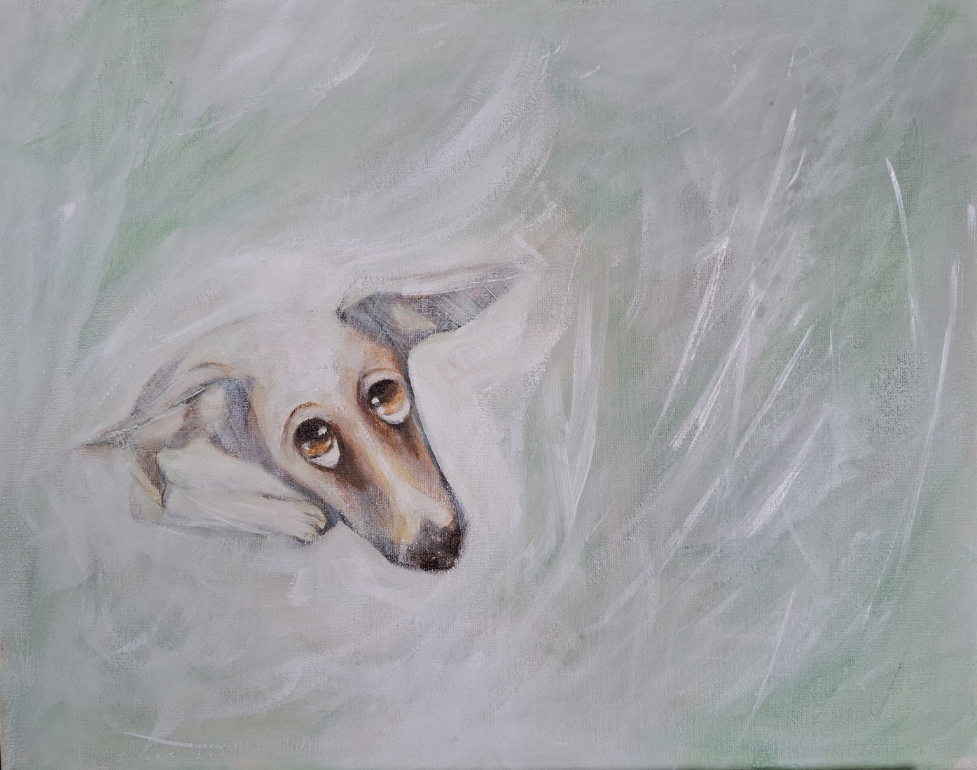 Hondje