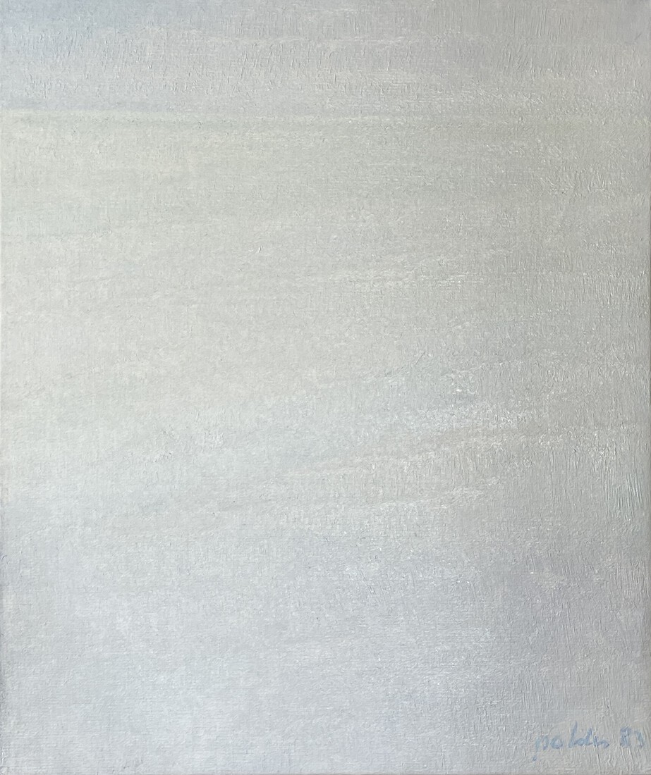 Zeegezicht