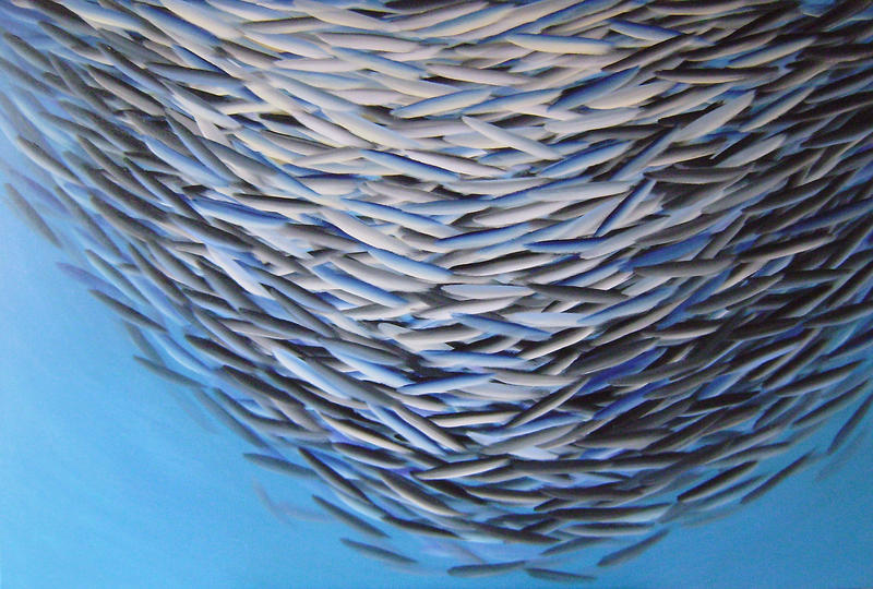 Go with the flow XXVIII