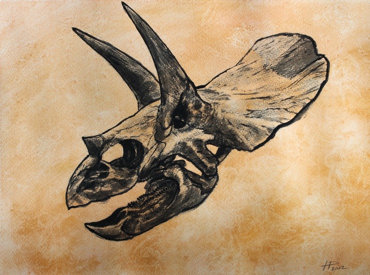 Dinosaurus schedel triceratops