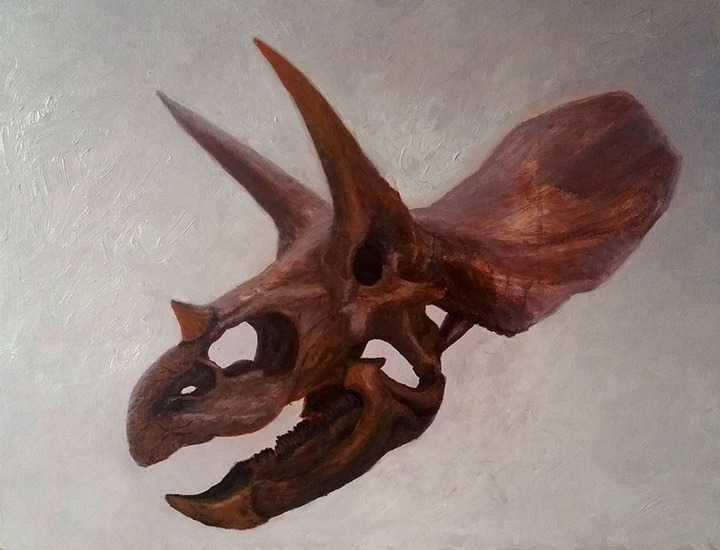 Triceratops schedel