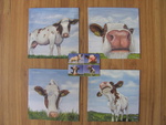 een serie van vier kleine schilderijtjes, met daarop een koe afgebeeld in wisselend perspectief