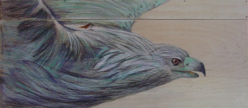 Adelaar en het winterkoninkje