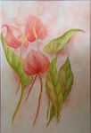 Aquarel Bloemen