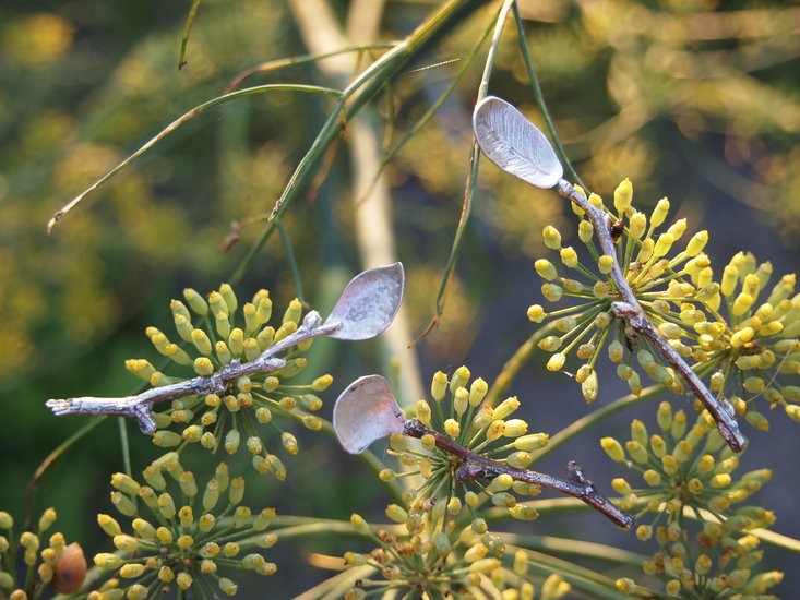 kleine lepeltjes van afgegoten takjes