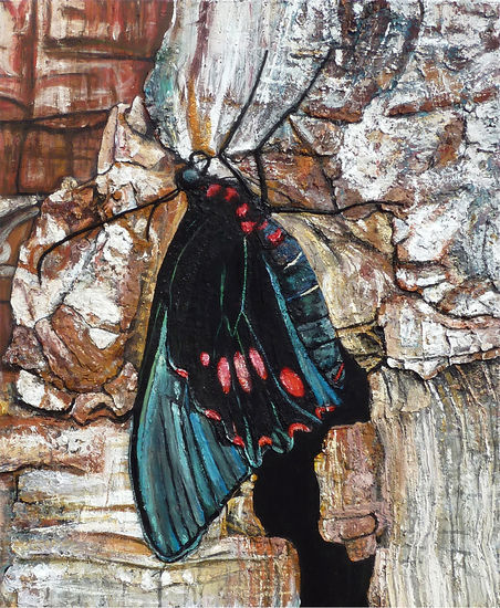 Schmetterling auf toter Baumrinde