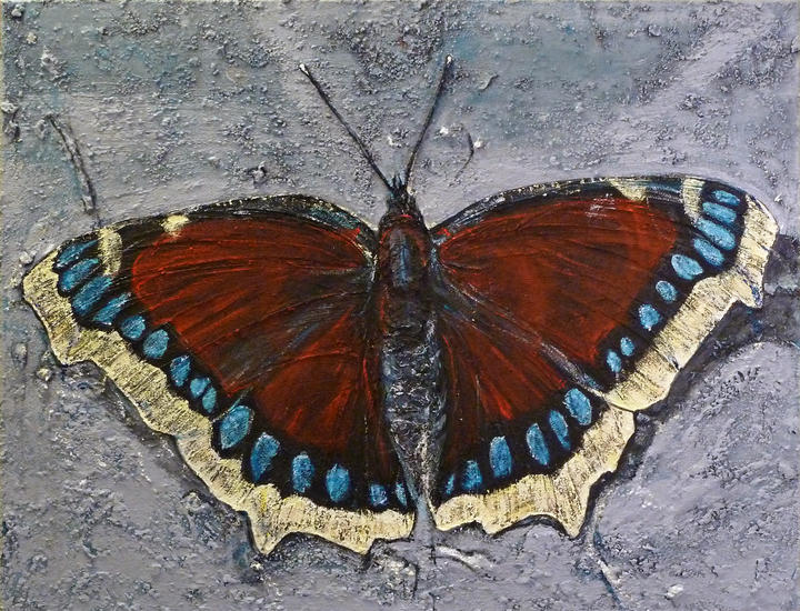 Schmetterling auf Mauer