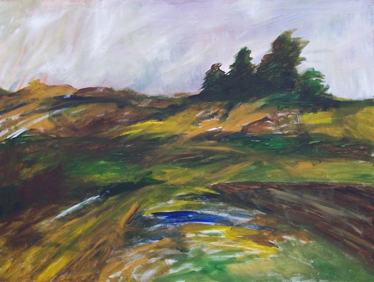 Duinen bij Bergen