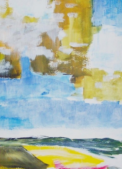 Schermer (studie)