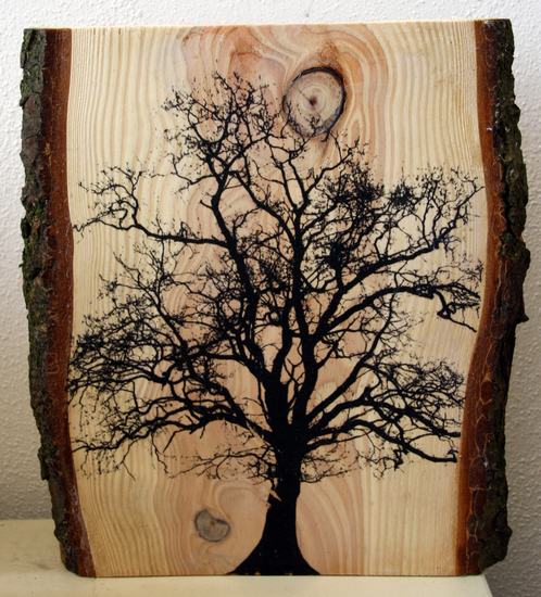 Eik op hout met schors
