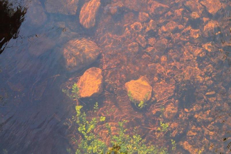 Stromend helder water