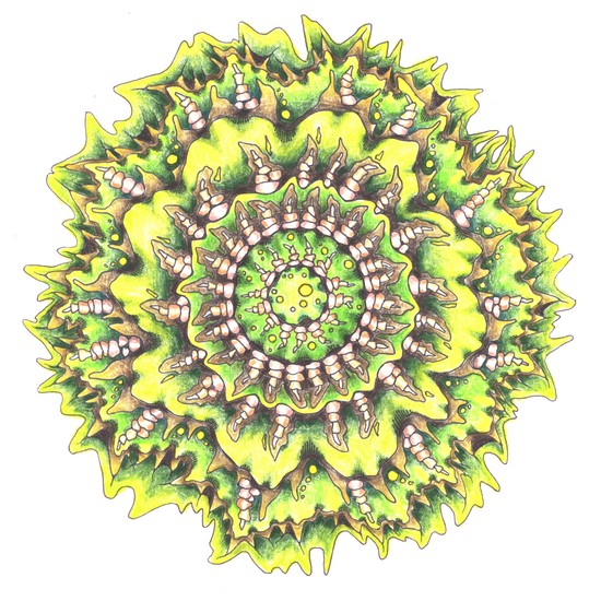 bouwen vanuit het midden