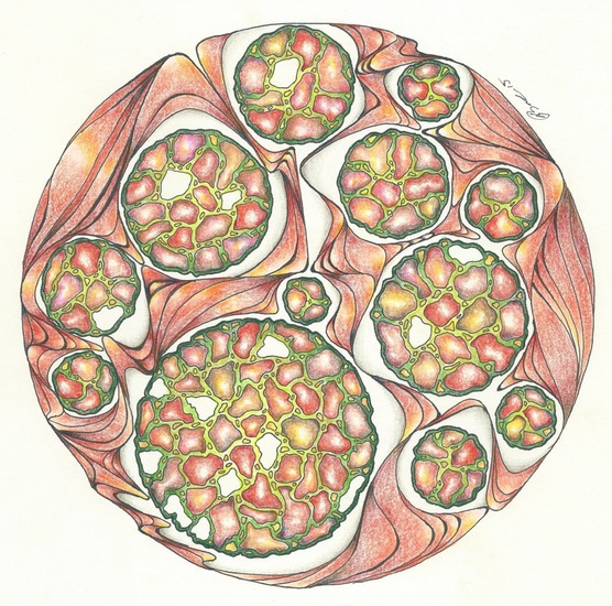 leegte en omsluiting