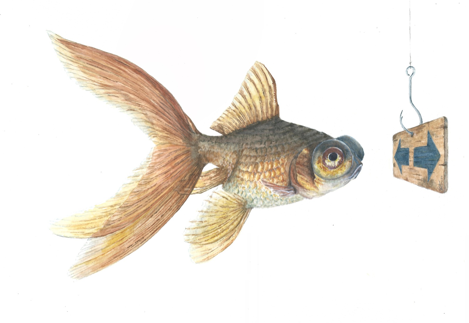 Goudvis met keuzestress