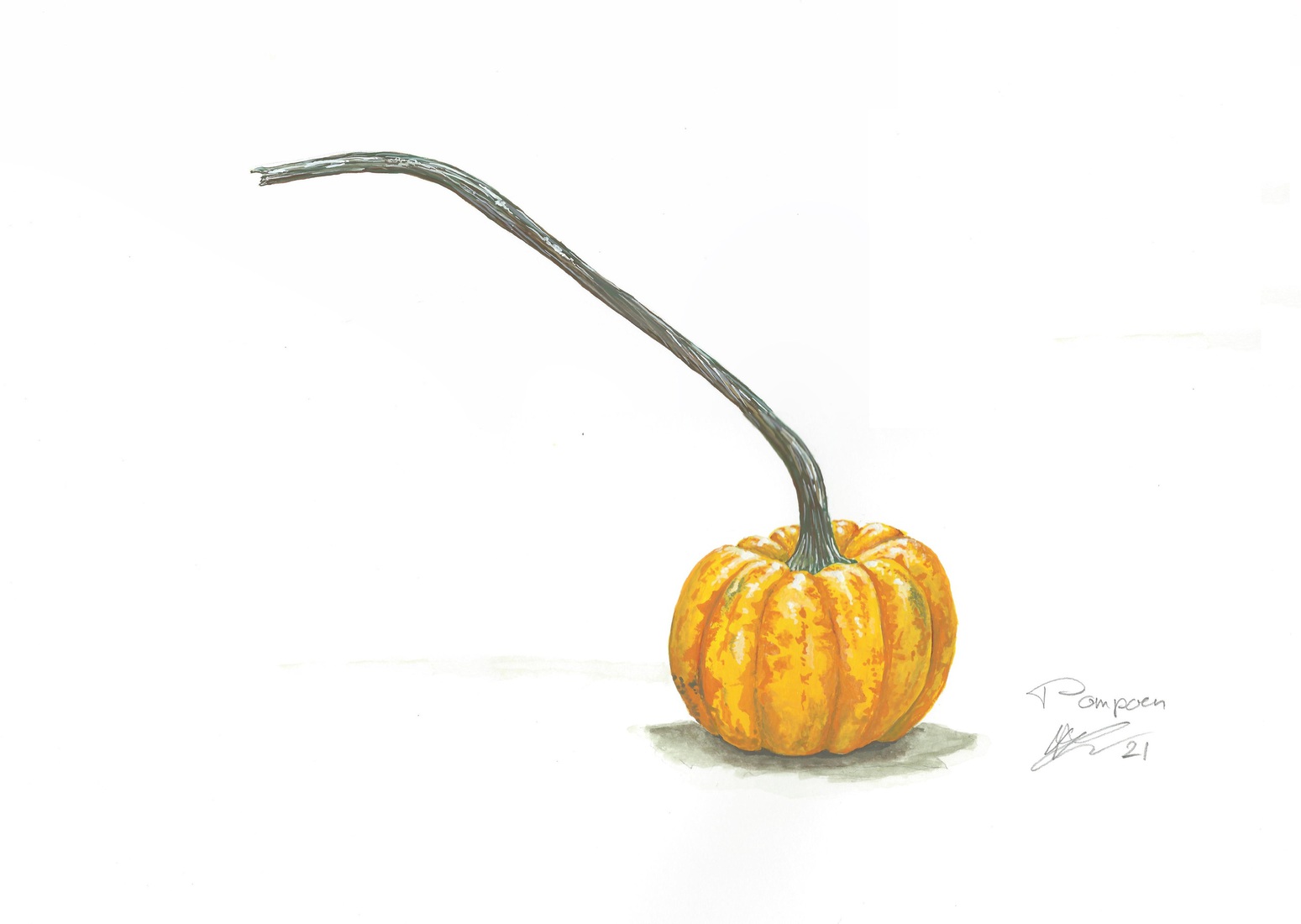 Pompoen