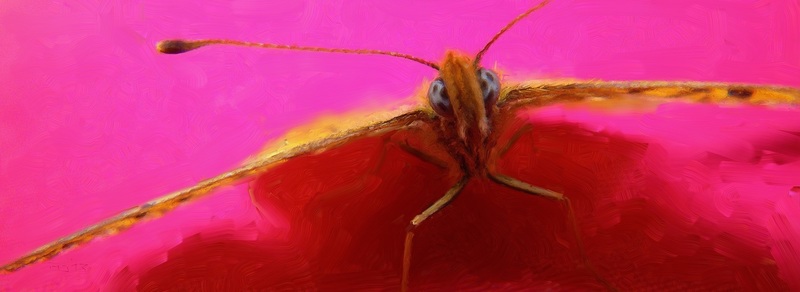 Vlinder op rode doek
