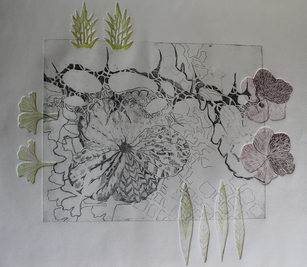 Hortensia kleurdruk 3