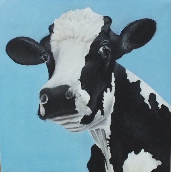 Portret van een jonge koe