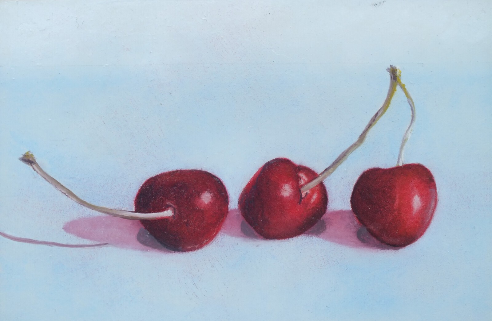 Kersen in licht blauw.