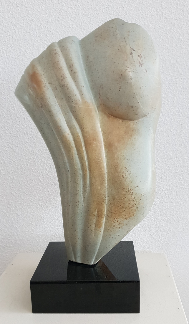 Torso