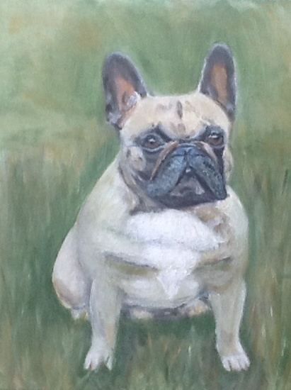 Hond Jack, Franse bulldog 