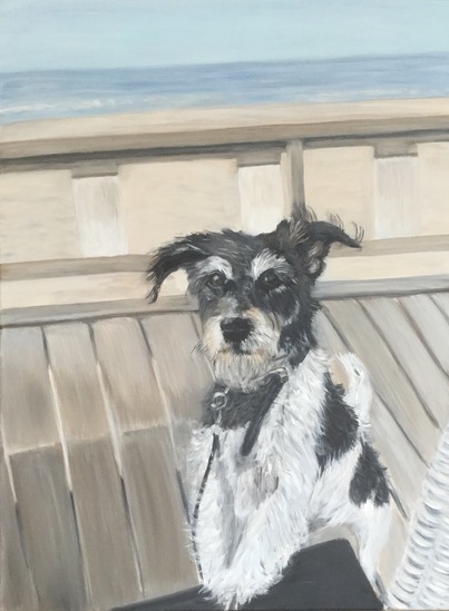 Hond Jack Russel Bobby 