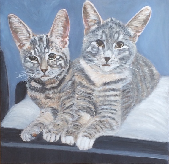 Poezen Poekie en Pluusie 